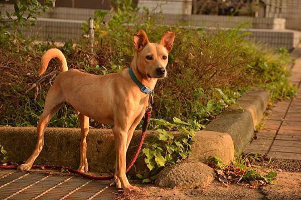 12020030_948599245196473_2314451534183569896_n 12020030_948599245196473_2314451534183569896_n