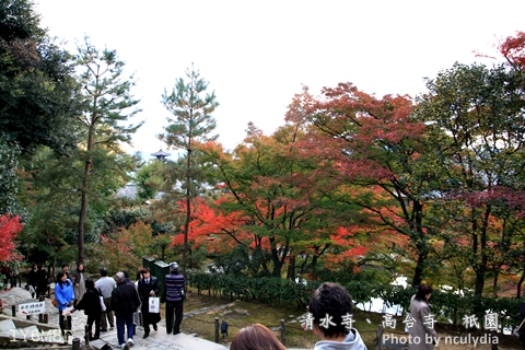 1117清水寺210.JPG