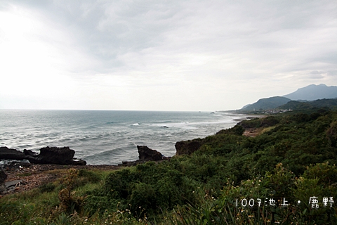 1007池上鹿野台東35