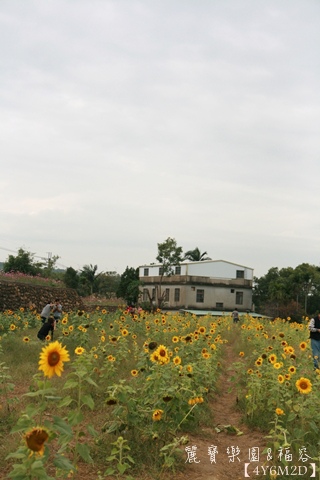 1111麗寶樂園&福容99.JPG