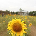 1111麗寶樂園&福容103.JPG