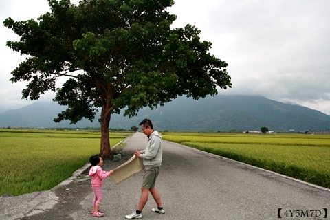 20131016池上日暉125.JPG