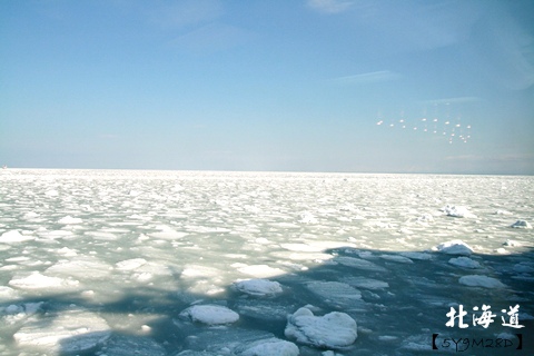 20150307層雲峽朝陽亭38.JPG