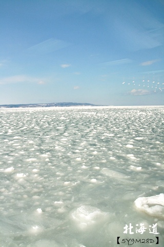 20150307層雲峽朝陽亭51.JPG