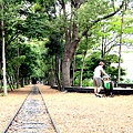 0426羅東林場木柵動物園15.JPG