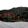 1116嵐山199.JPG