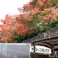 1116嵐山100.JPG