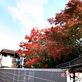 1116嵐山102.JPG
