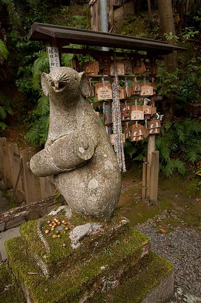 DSC_0597.jpg DSC_0597.jpg