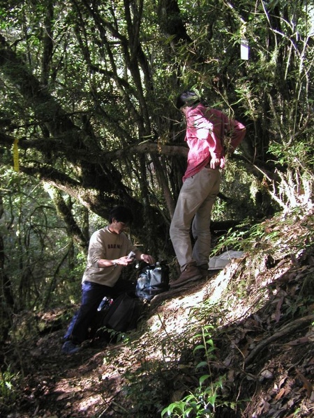 東華資工所20041212羊頭山登山011