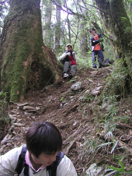 東華資工所20041212羊頭山登山013