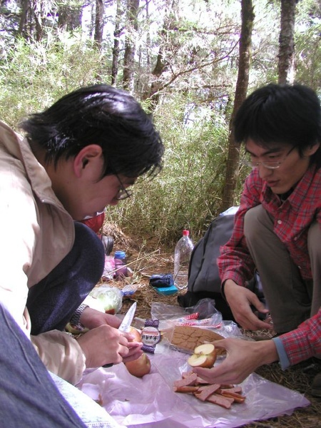 東華資工所20041212羊頭山登山017