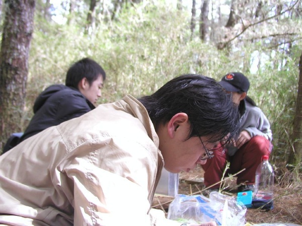 東華資工所20041212羊頭山登山024