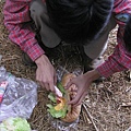 東華資工所20041212羊頭山登山028