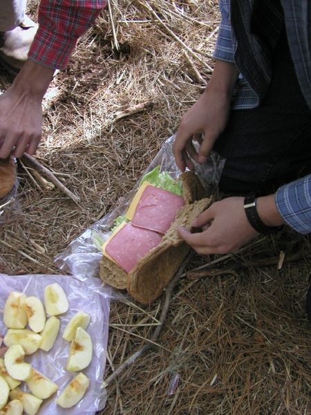 東華資工所20041212羊頭山登山029