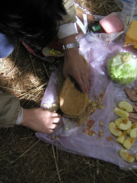 東華資工所20041212羊頭山登山030