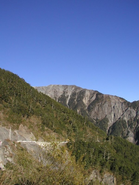 東華資工所20041212羊頭山登山040