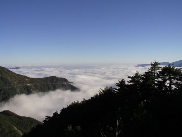 東華資工所20041212羊頭山登山041