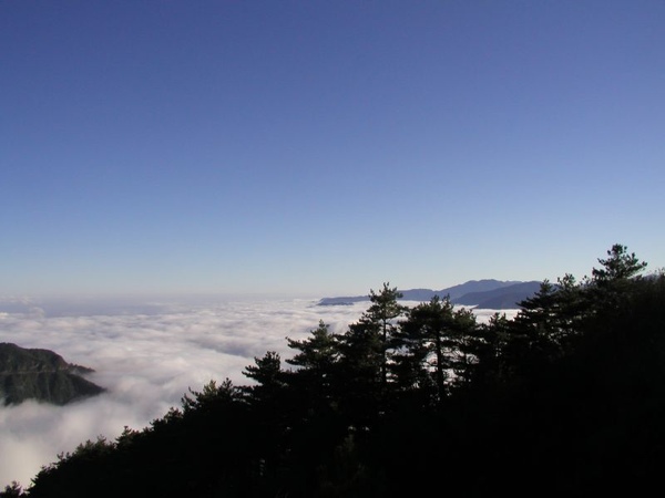 東華資工所20041212羊頭山登山042