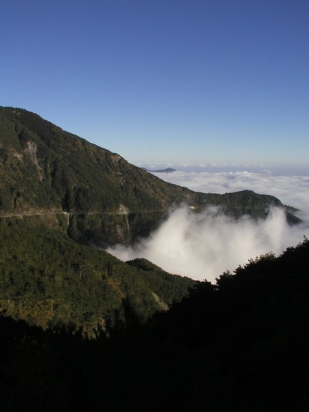 東華資工所20041212羊頭山登山044