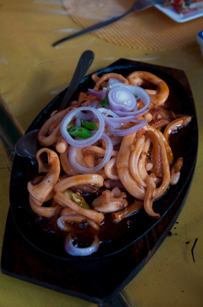 DSC_0567.JPG DSC_0567.JPG