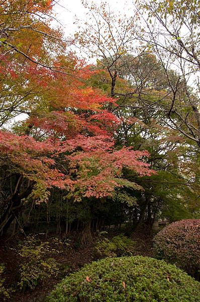 DSC_0578.jpg DSC_0578.jpg