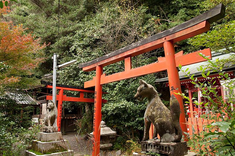 DSC_0600.jpg DSC_0600.jpg
