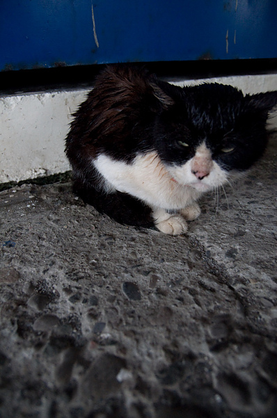 DSC_0110.JPG DSC_0110.JPG