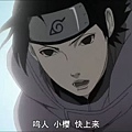 snapshot20100428163624.jpg