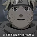 snapshot20100428170413.jpg