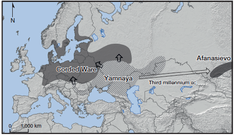 Yamnaya