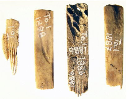 短篇 2700年前的南島刺青工具,鳥骨,還有人骨