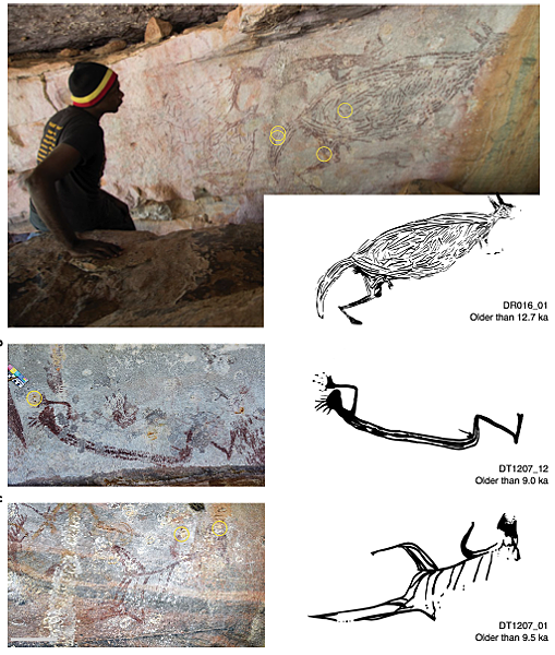 短篇  用泥蜂蜂巢，定年17000年前澳洲袋鼠壁畫