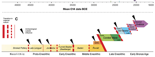波希米亞人,DNA不斷情慾流動 波希米亞人,DNA不斷情慾流動