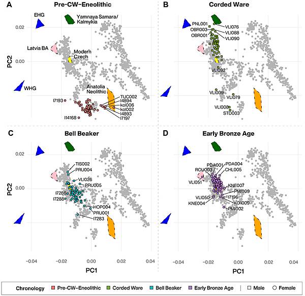 波希米亞人,DNA不斷情慾流動 波希米亞人,DNA不斷情慾流動