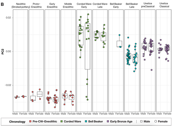 波希米亞人,DNA不斷情慾流動 波希米亞人,DNA不斷情慾流動