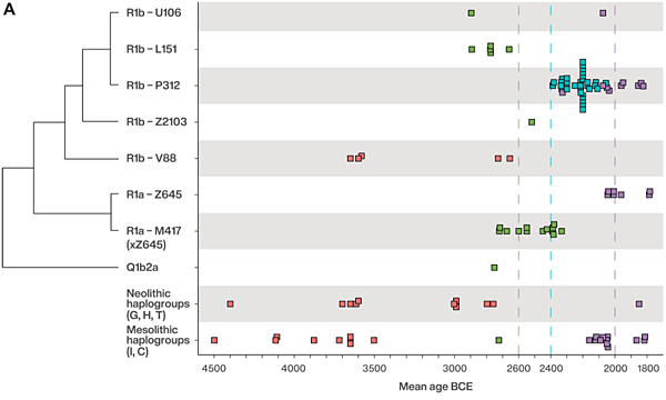 波希米亞人,DNA不斷情慾流動 波希米亞人,DNA不斷情慾流動