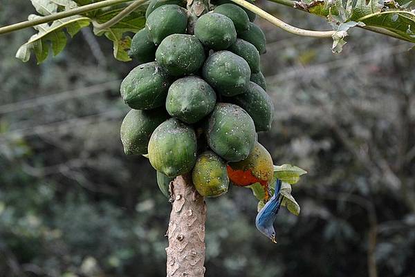 9471260129_bd1a5482d7_z1