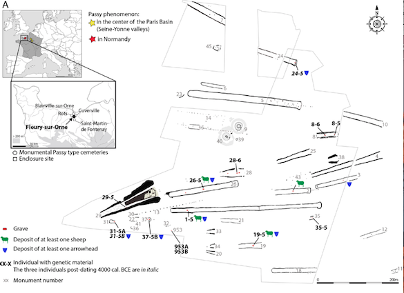 諾曼地新石器時代,石隧墓中長眠的男生們 諾曼地新石器時代,石隧墓中長眠的男生們