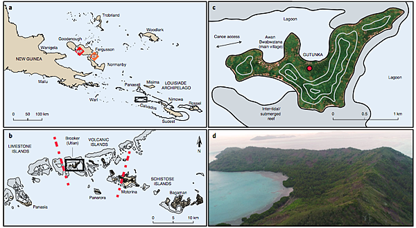 豬狗不陶?南島拉匹達文化,與大洋洲的第一波接觸