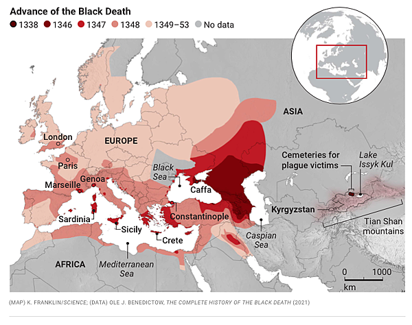 一場虎年的中亞瘟疫,預示隨後黑死病的開端? 一場虎年的中亞瘟疫,預示隨後黑死病的開端?