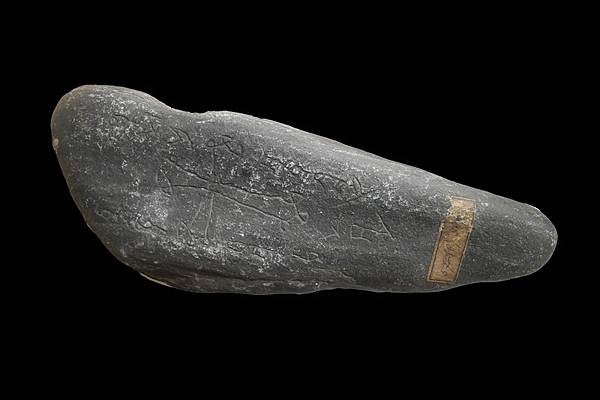 一場虎年的中亞瘟疫,預示隨後黑死病的開端? 一場虎年的中亞瘟疫,預示隨後黑死病的開端?