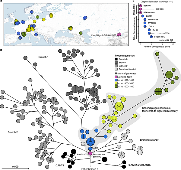 一場虎年的中亞瘟疫,預示隨後黑死病的開端? 一場虎年的中亞瘟疫,預示隨後黑死病的開端?