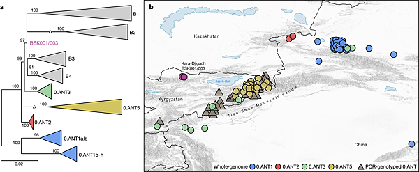 一場虎年的中亞瘟疫,預示隨後黑死病的開端? 一場虎年的中亞瘟疫,預示隨後黑死病的開端?