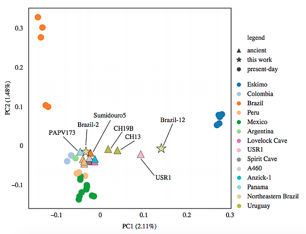 巴西古代基因組，串連烏拉圭，巴拿馬的DNA伏流