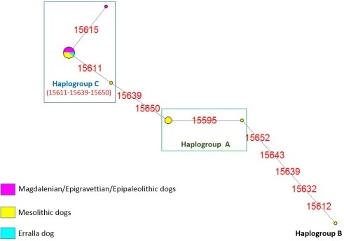 1.7萬年前的西班牙狗勾 1.7萬年前的西班牙狗勾