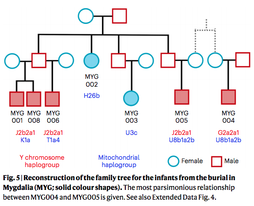 愛琴世界,習慣親上加親? 愛琴世界,習慣親上加親?