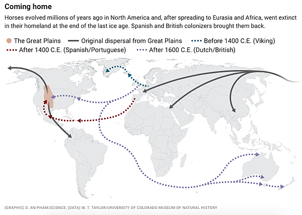 印地安人和他們的馬 印地安人和他們的馬