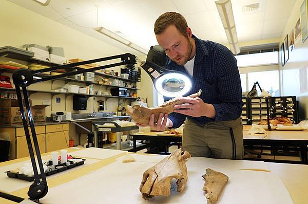 印地安人和他們的馬 印地安人和他們的馬