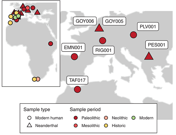 短篇 舊石器時代牙結石,重現舊石器時代Chlorobium 短篇 舊石器時代牙結石,重現舊石器時代Chlorobium